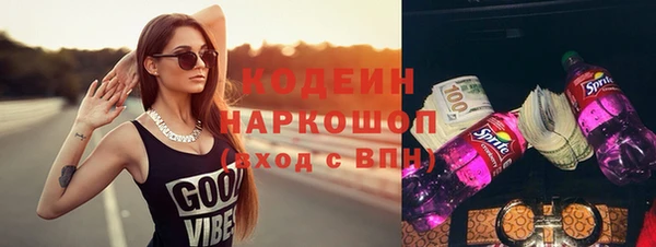 МДПВ Инсар