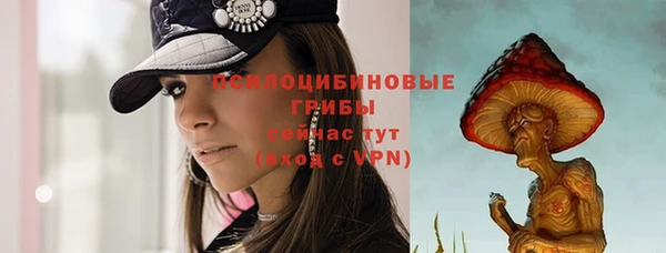 МДПВ Инсар