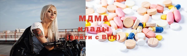 МДПВ Инсар